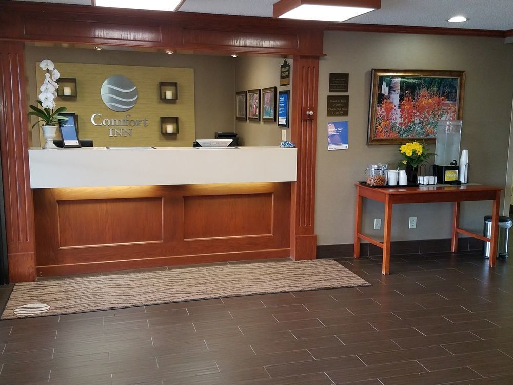 Comfort Inn Festus-St Louis South Ngoại thất bức ảnh